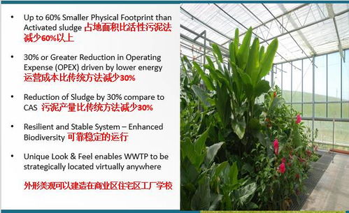 技术交流 会生长的污水厂——FCR花园式污水处理技术解析